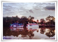 ริเวอร์ไซด์ การ์เด้น